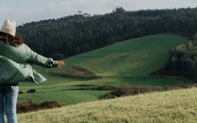 L’économie libre par Yann Beauvois ?